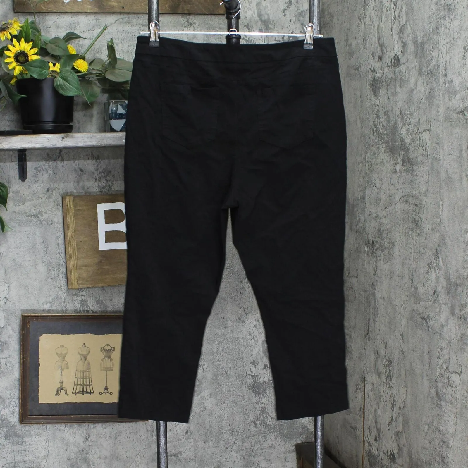 Mario Serrani Womens Pull On Stretch Capri Pants 1764407 Black XL