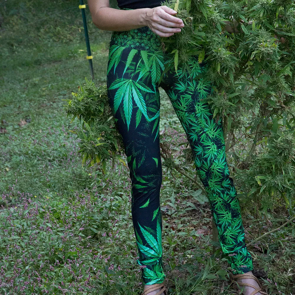 Oregano - Spice Yoga Leggings