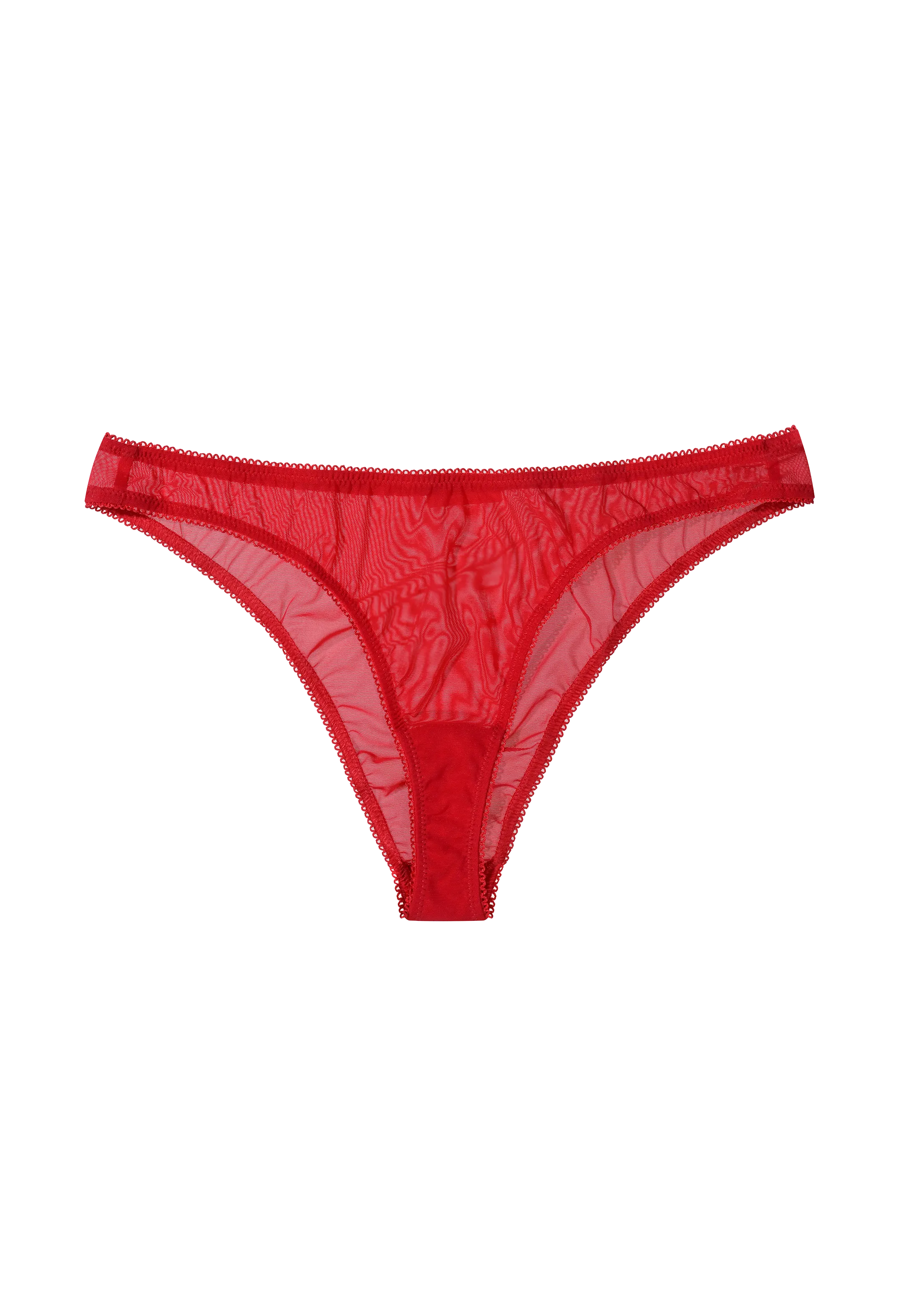 Red Moss Brief