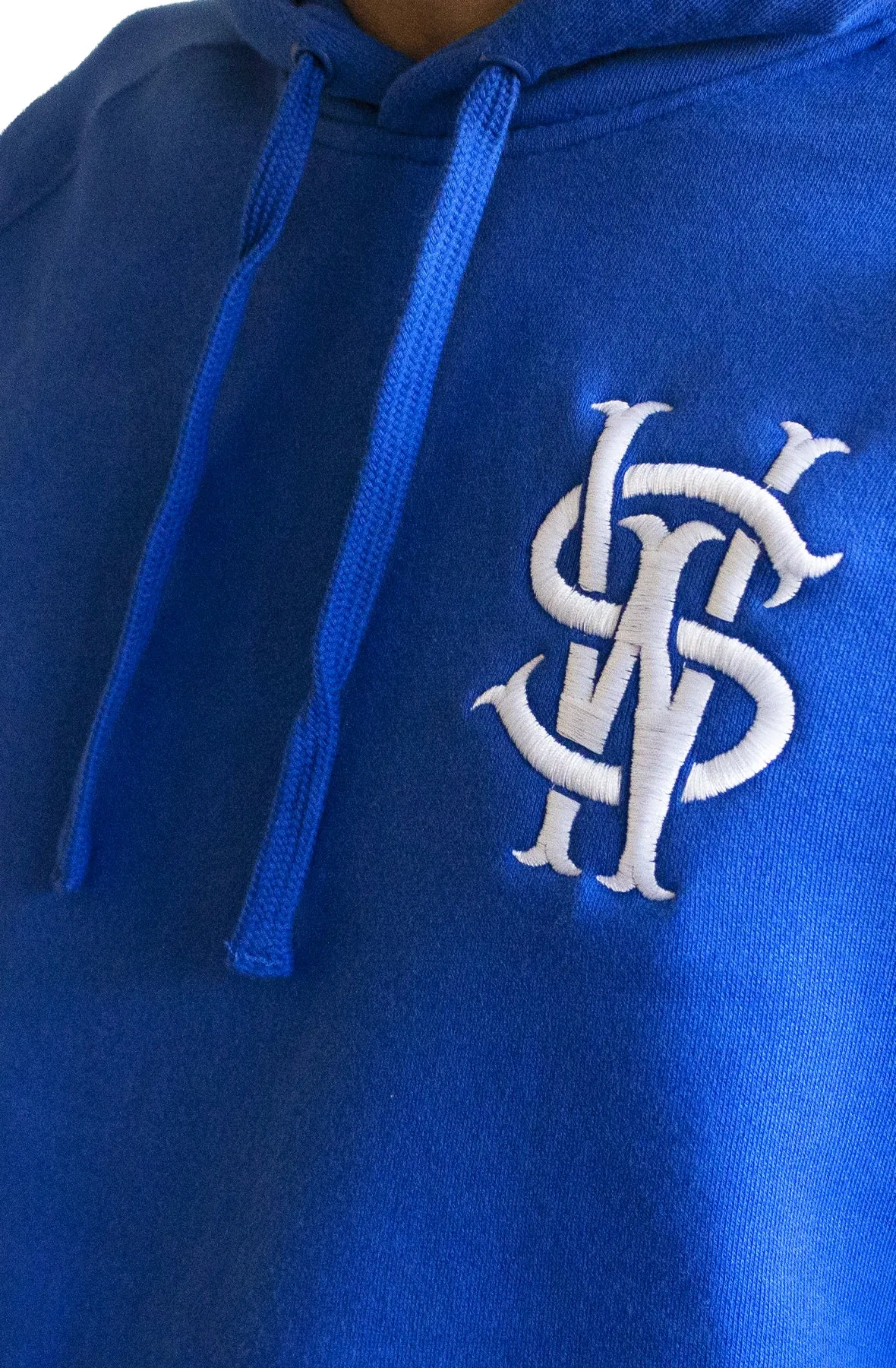 Stay Winning Fortune Frogs Blue Hoodie