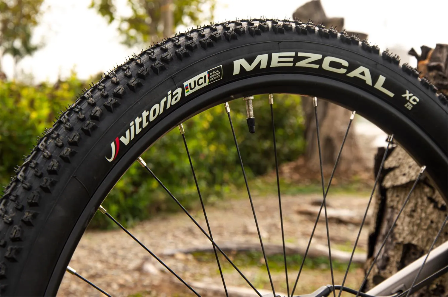 Vittoria 29" Mezcal UCI edition TLR